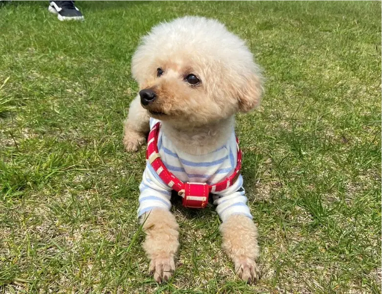 休日の過ごし方