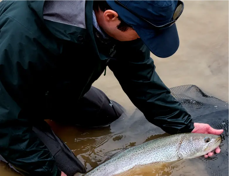 休日の過ごし方