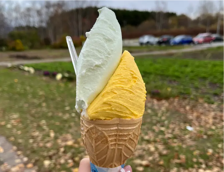 休日の過ごし方