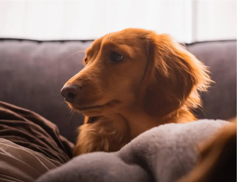 休日の過ごし方